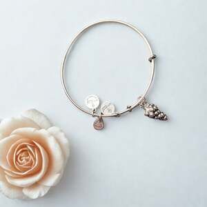 Alex & Ani Grape Fruit Silver Bangle Bracelet